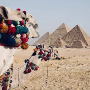 Отдых в Египте, путешествие в Африку. Туристы выбирают экскурсии в Каир посмотреть пирамиды в Гизе.