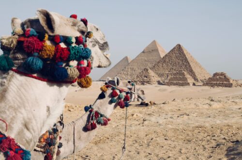 Отдых в Египте, путешествие в Африку. Туристы выбирают экскурсии в Каир посмотреть пирамиды в Гизе.